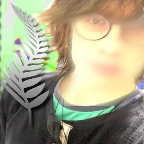 s0lais Profile Image