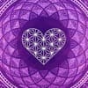 David Hohme Profile Image
