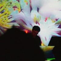 Wordcolour