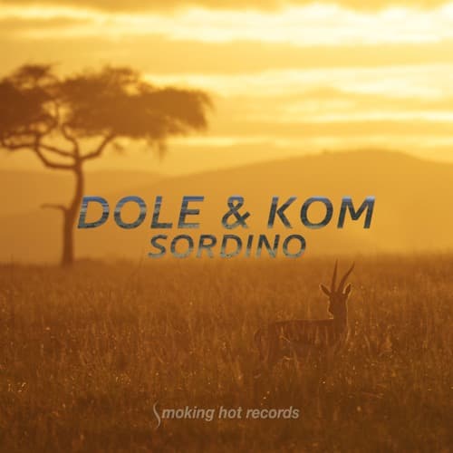 Dole & Kom Profile Image