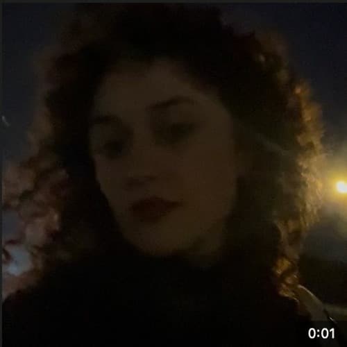 Zwiebel Noam Profile Image