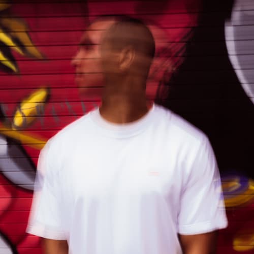 OSI portrait