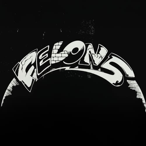 Felon5 portrait