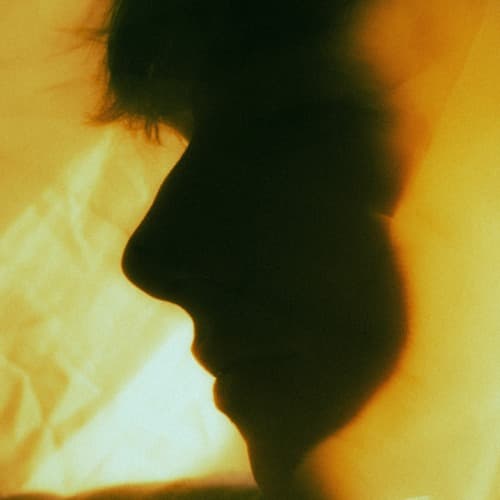 Renslink portrait