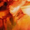 Xicada Profile Image