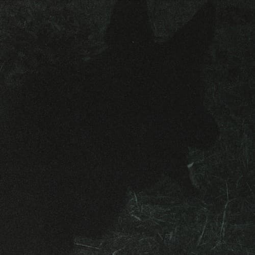 Kinn Profile Image