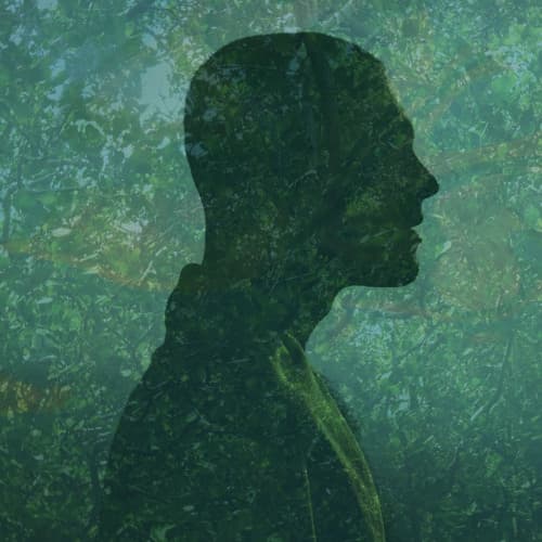 Makam Profile Image