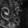 ÆSTRAL Profile Image
