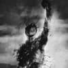 Shadowcomplex Profile Image
