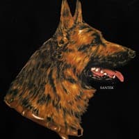 Santek