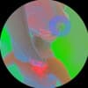 E.O.U Profile Image