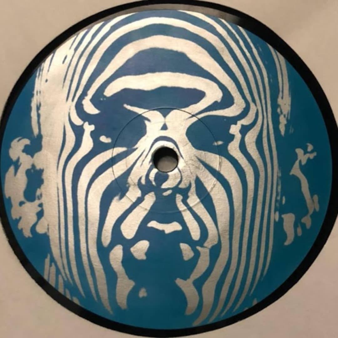 Stefano Testa Profile Image