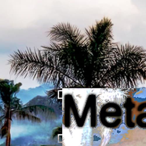 Metabora Profile Image