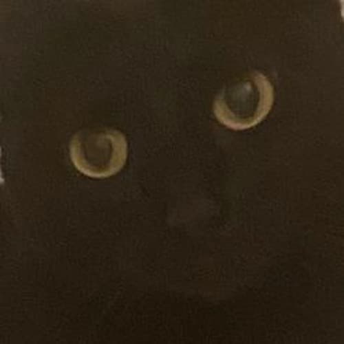 llloyd portrait