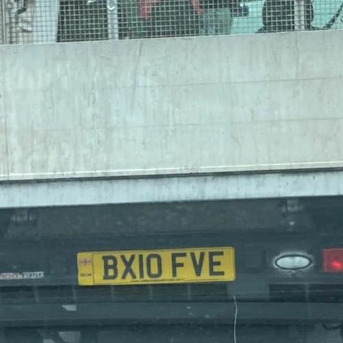 Box5ive portrait