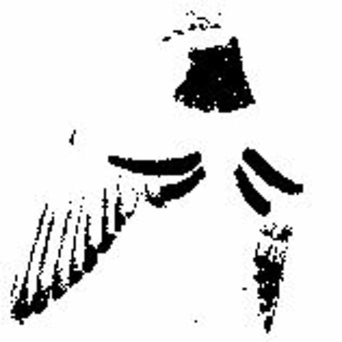 User2222