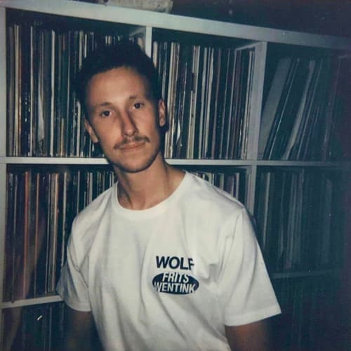 Frits Wentink portrait