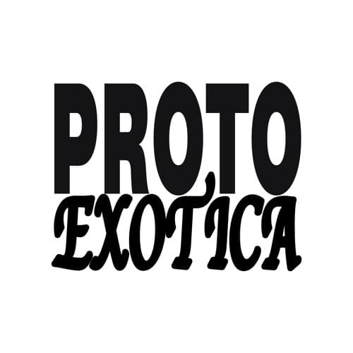 Proto-Exotica portrait