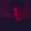 Guilherme Nogueira Profile Image