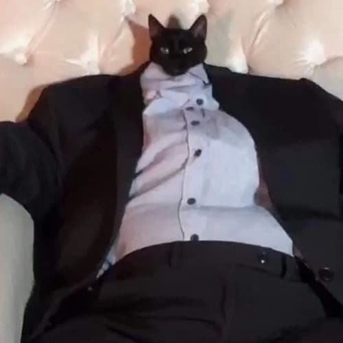 blastah Profile Image