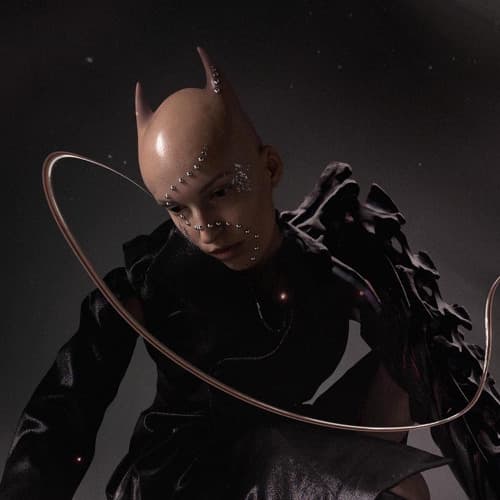 DISCIPLINE Profile Image
