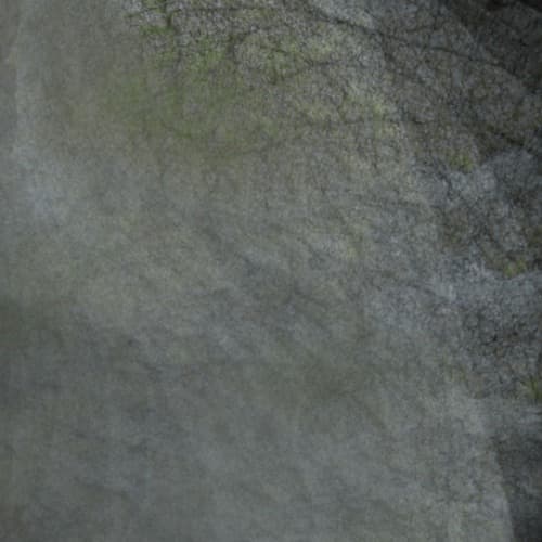 Exuvie Profile Image