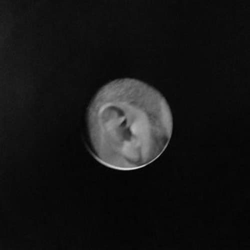 DBlond Profile Image
