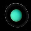 Paul Neary Profile Image