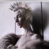 The Lizard Queen Profile Image