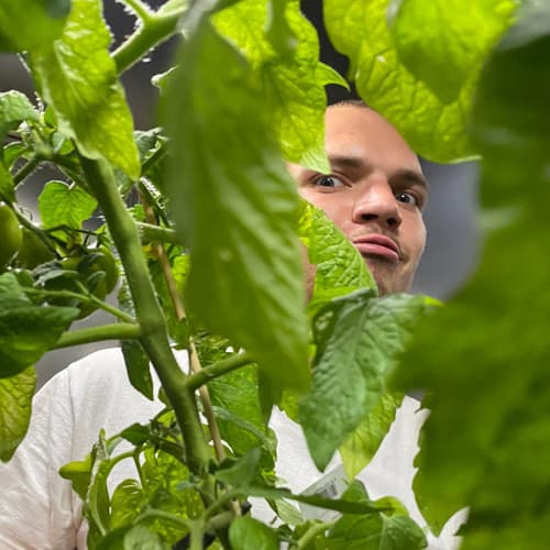 Wildhelmi Profile Image