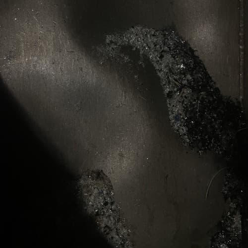 Linn Stern Profile Image