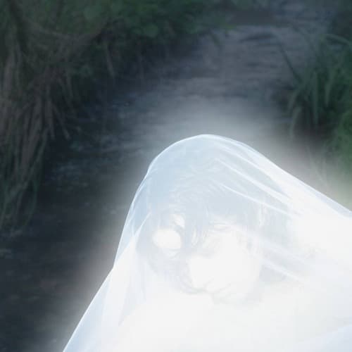 matildnz Profile Image