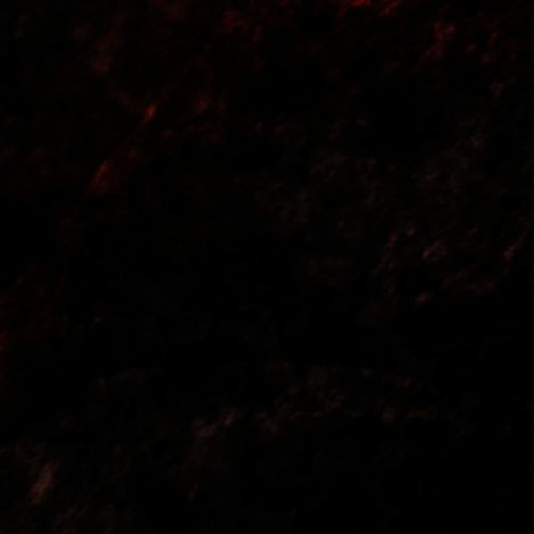 OIZA Profile Image