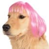 Melissa Juice Profile Image