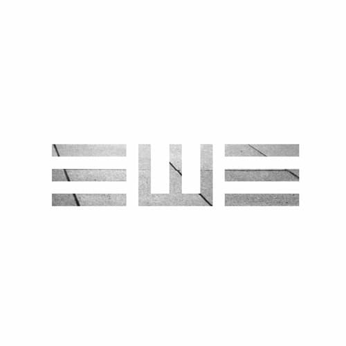 Einwandeins portrait