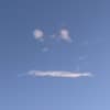amïro Profile Image