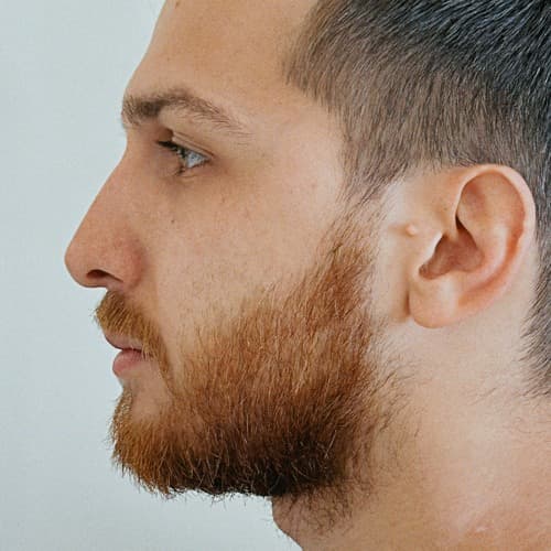 York Hamza Profile Image