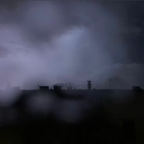 Regen portrait