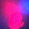 Volast Profile Image