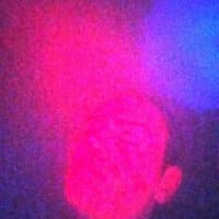 Volast
