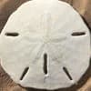 Downloadable Content Profile Image
