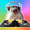 DiskoJochen Profile Image