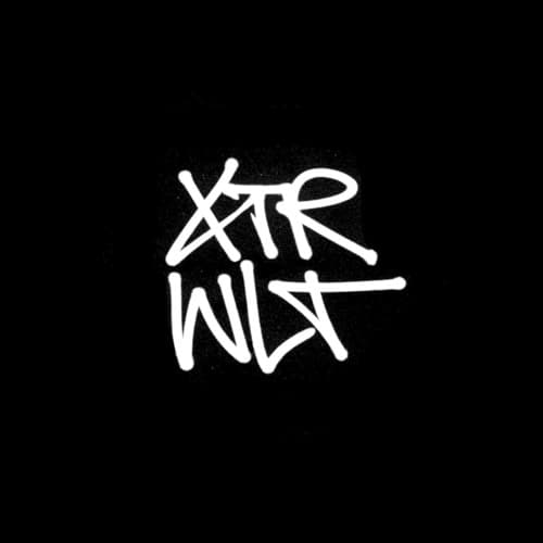 Extrawelt portrait