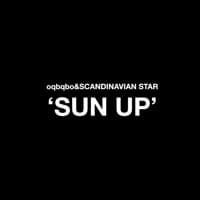 Scandinavian Star