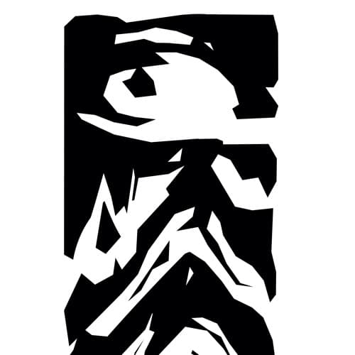 Bird of Paradise Profile Image