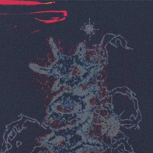 Haidut Profile Image