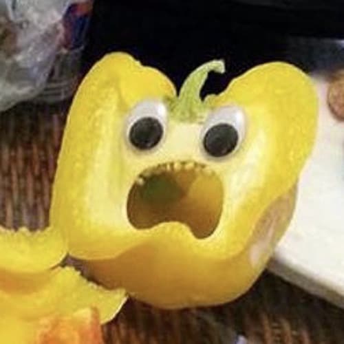DJ Squid Profile Image