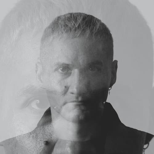 Pinto portrait