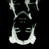 Willillah Profile Image
