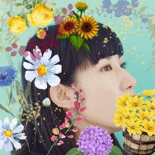 SOLNOWARL Profile Image